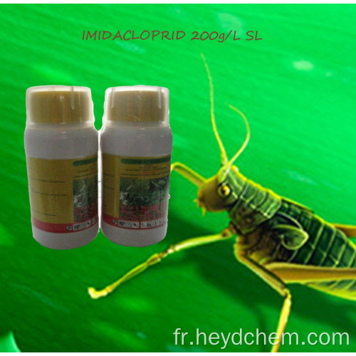 Pesticides insecticide imidacloprid 20% sl